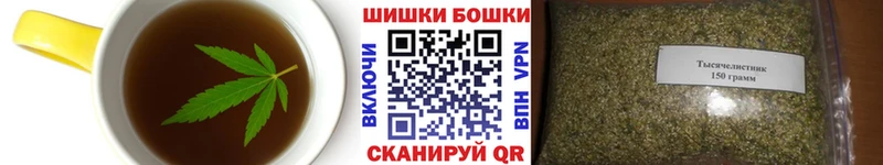 мега ссылка Безенчук Canna-Cookies марихуана наркота