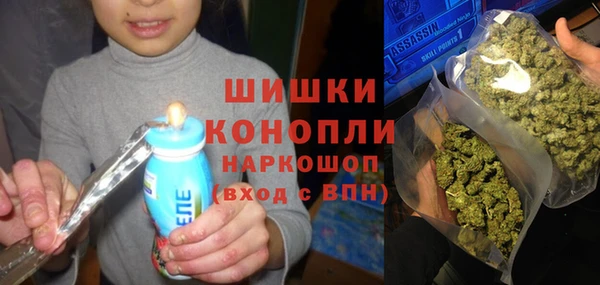 каннабис Новозыбков