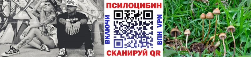 Псилоцибиновые грибы GOLDEN TEACHER  Безенчук 